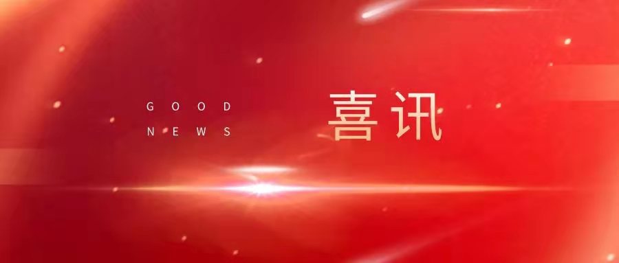 喜訊|山東大衛(wèi)國際入選濟(jì)南市2020年度創(chuàng)新發(fā)展突出貢獻(xiàn)企業(yè)